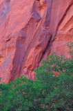 Red Rock Wall