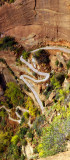 The Lower Trail to Angels Landing