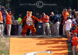 Clemson mascot The Tiger rubs Howards Rock