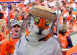 Clemson mascot The Tiger dons a bee keepers suit to ward off attacking Yellow Jackets