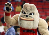 Georgia Bulldogs Mascot Hairy Dog