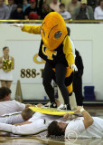Georgia Tech mascot Buzz does some court surfing
