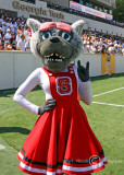 North Carolina State Mascot Ms. Wuf