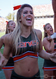 Miami Hurricanes Cheerleader performs for their fans
