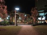 Park Fountain at Night
