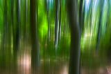 Blurred trees