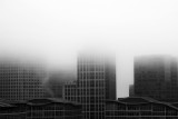 City Fog