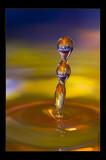 The Oscar - Water Art