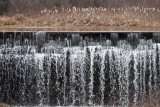Weldons Mill dam