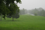 Wet Virginia landscape