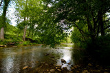 Watauga River