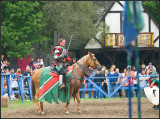 Jousting Tournament VIII