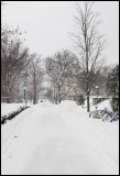 Snowy Path