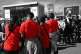 Reds in Black