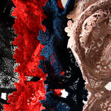 Coloured dentelles
