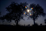 Contre-jour