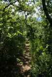 Autre sentier