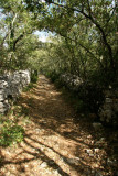 Sentier