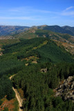 De Sainte-Marguerite