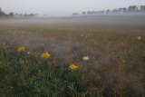 _MG_0291.jpg