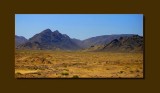 _DSC8495_f.jpg