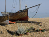 Lady Irene at Deal