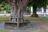 Gouldhurst tree seat