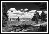 Bryce approach  monochrome