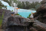 disney_d1_033.jpg