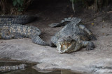 disney_d4_084.jpg