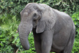 disney_d4_092.jpg