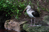 2010_fla_d1_013.jpg