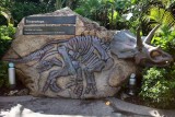 2010_fla_d3_059.jpg
