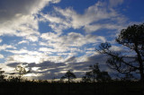 Kemeri National Park