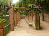 Pinya de Rosa botanical garden