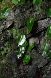 IMGP2141.jpg