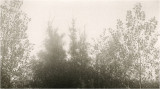 Argus C3 Wide angle35mm