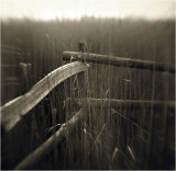 Kodak Hawkeye with reversed lens