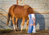 For a few crumbs I put my head in a  bag !