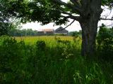 Crosby  Road Farm View