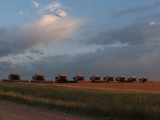 Harvest Time