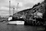 00963_nfld_d3.jpg