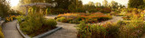 Matthaei Garden Morning, Panorama