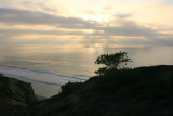IMG_8566 tp.jpg