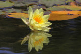 IMG_8645 bp.jpg