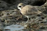 IMG_4999 coast_a.jpg