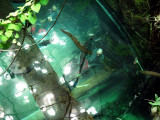 aimg_0937.jpg