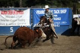IMG_1524.jpg