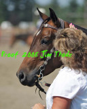 IMG_9846a.jpg