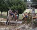 IMG_0554a.jpg
